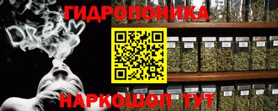 ECSTASY Канаш