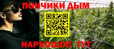 ПСИЛОЦИБИНОВЫЕ ГРИБЫ Камышлов