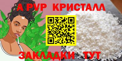 ПСИЛОЦИБИНОВЫЕ ГРИБЫ Камышлов