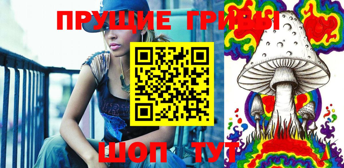 Псилоцибиновые грибы MAGIC MUSHROOMS  Вход с VPN  Кудрово 