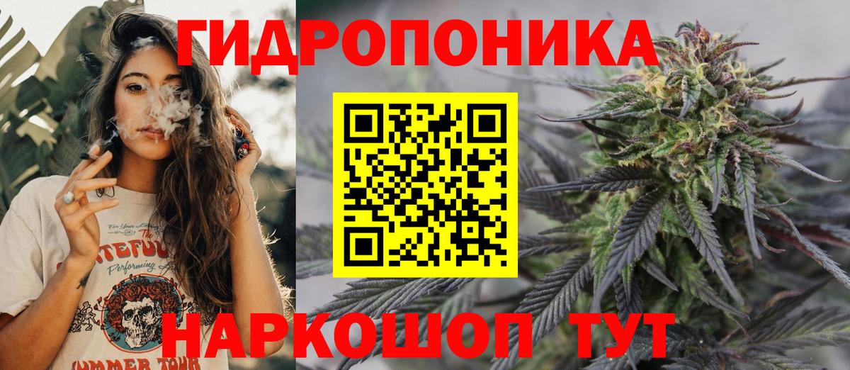 МАРИХУАНА конопля Кудрово